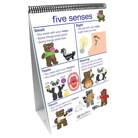 Newpath Learning Early Childhood Science Readiness Flip Chart, All About Me 34-0027